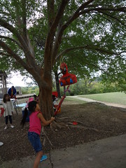 Nadia's 7th Birthday Party