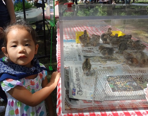 Farm & Ranch Day 2012