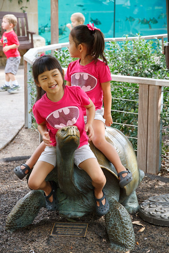 Nadia's 6th Birthday Party