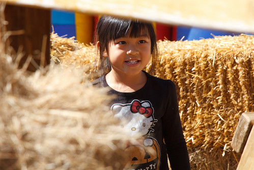 Pumpkin Patch 10.19.2012