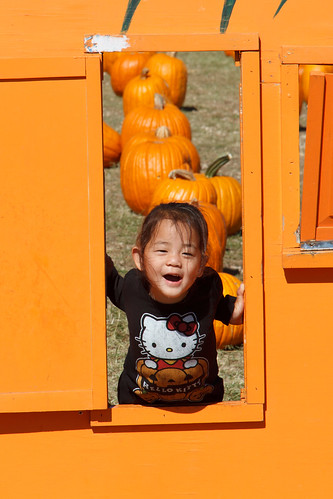 Pumpkin Patch 10.19.2012