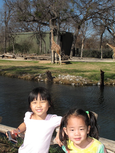 Zoo 2.7.13