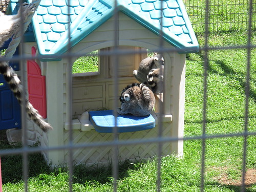 Sharkarosa Wildlife Ranch