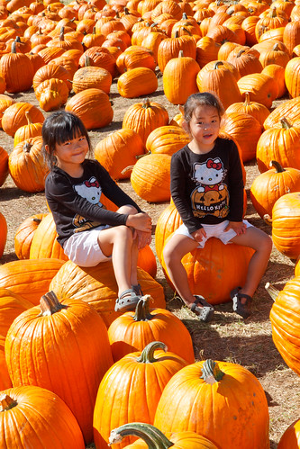 Pumpkin Patch 10.19.2012