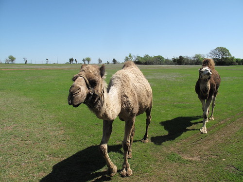 Sharkarosa Wildlife Ranch